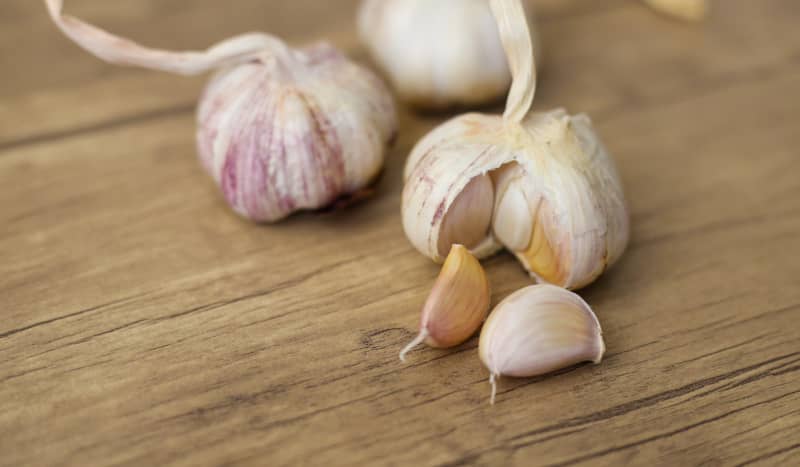 garlic intolerance